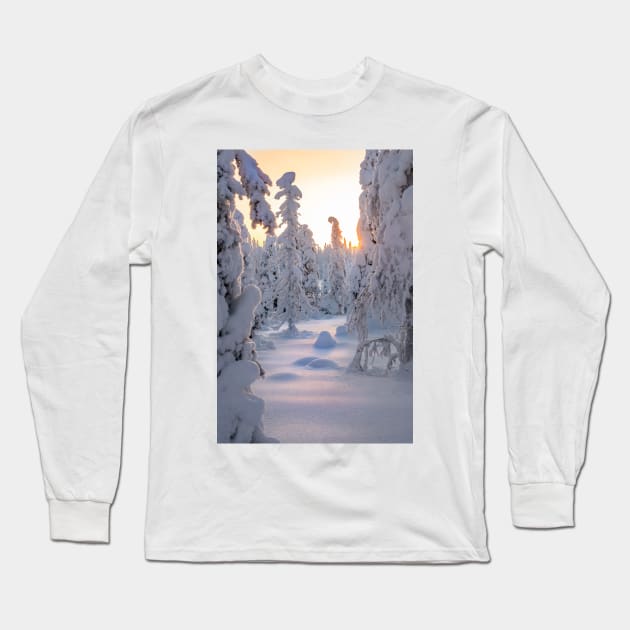 Arctic Winter Long Sleeve T-Shirt by geoffshoults